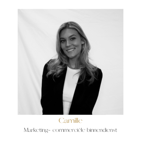 Camille Innovative Beauty Solutions