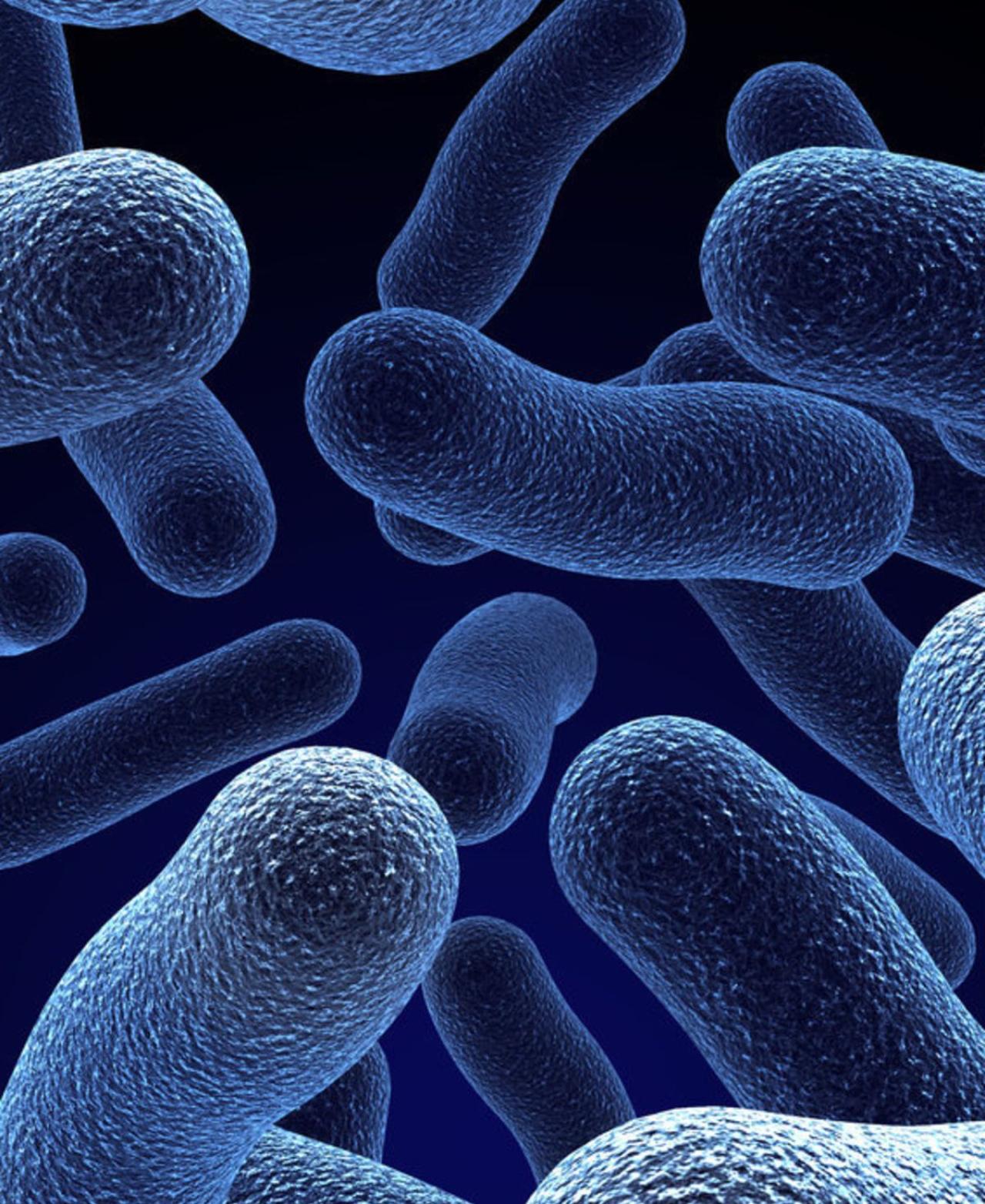 masterclass microbioom